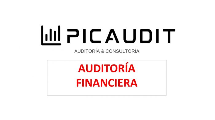 1.1 AUDITORIA FINANCIERA