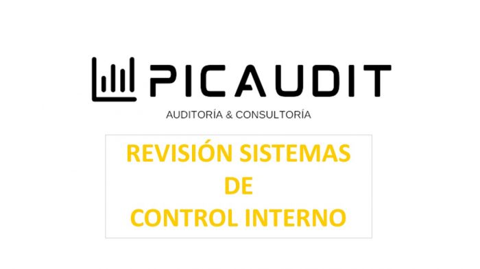 2.4 REVISIÓN DE SISTEMAS DE CONTROL INTERNO