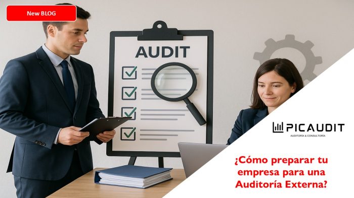 auditoria externa
