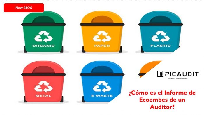¿CÓMO ES EL INFORME DE ECOEMBES DE UN AUDITOR?